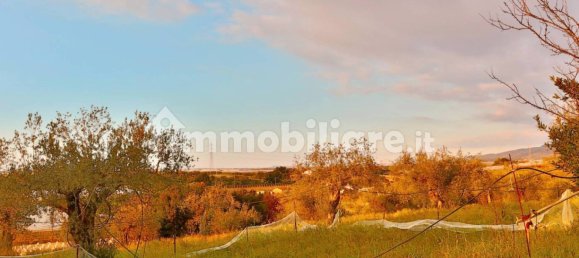 2 bedrooms Villa in Chiaramonte Gulfi, Italy No. 177252 4