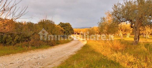 2 bedrooms Villa in Chiaramonte Gulfi, Italy No. 177252 20