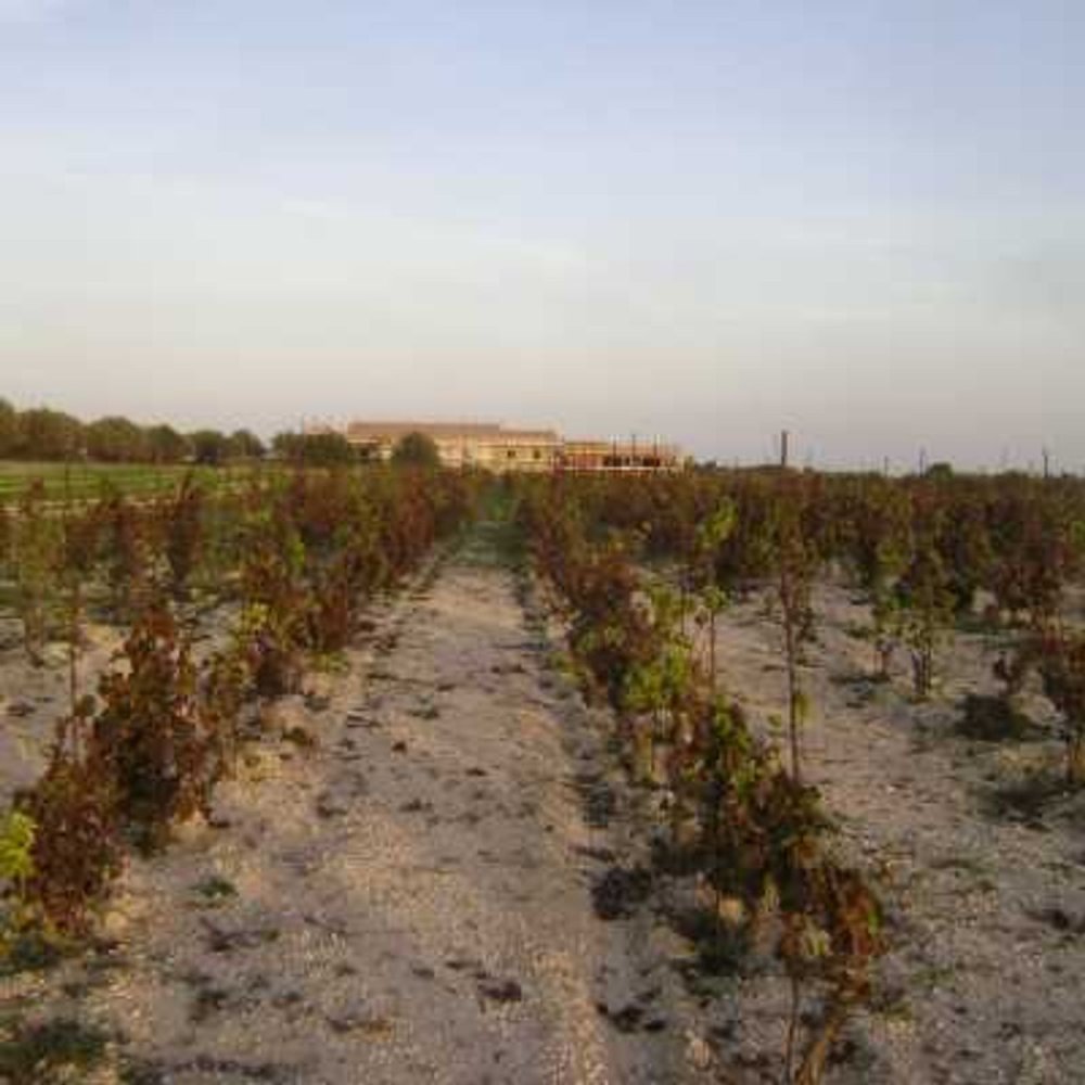 Grundstück in Noto, Italy 28000m², Nr. 68342