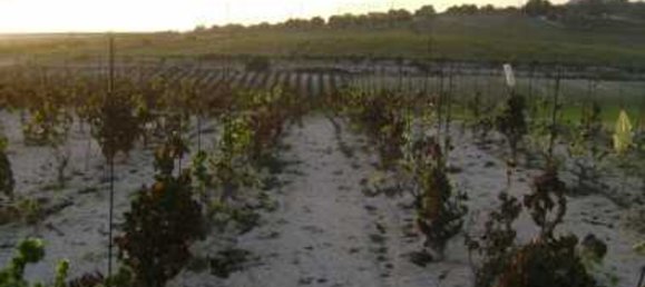 Grundstück in Noto, Italy 28000m², Nr. 68342 3