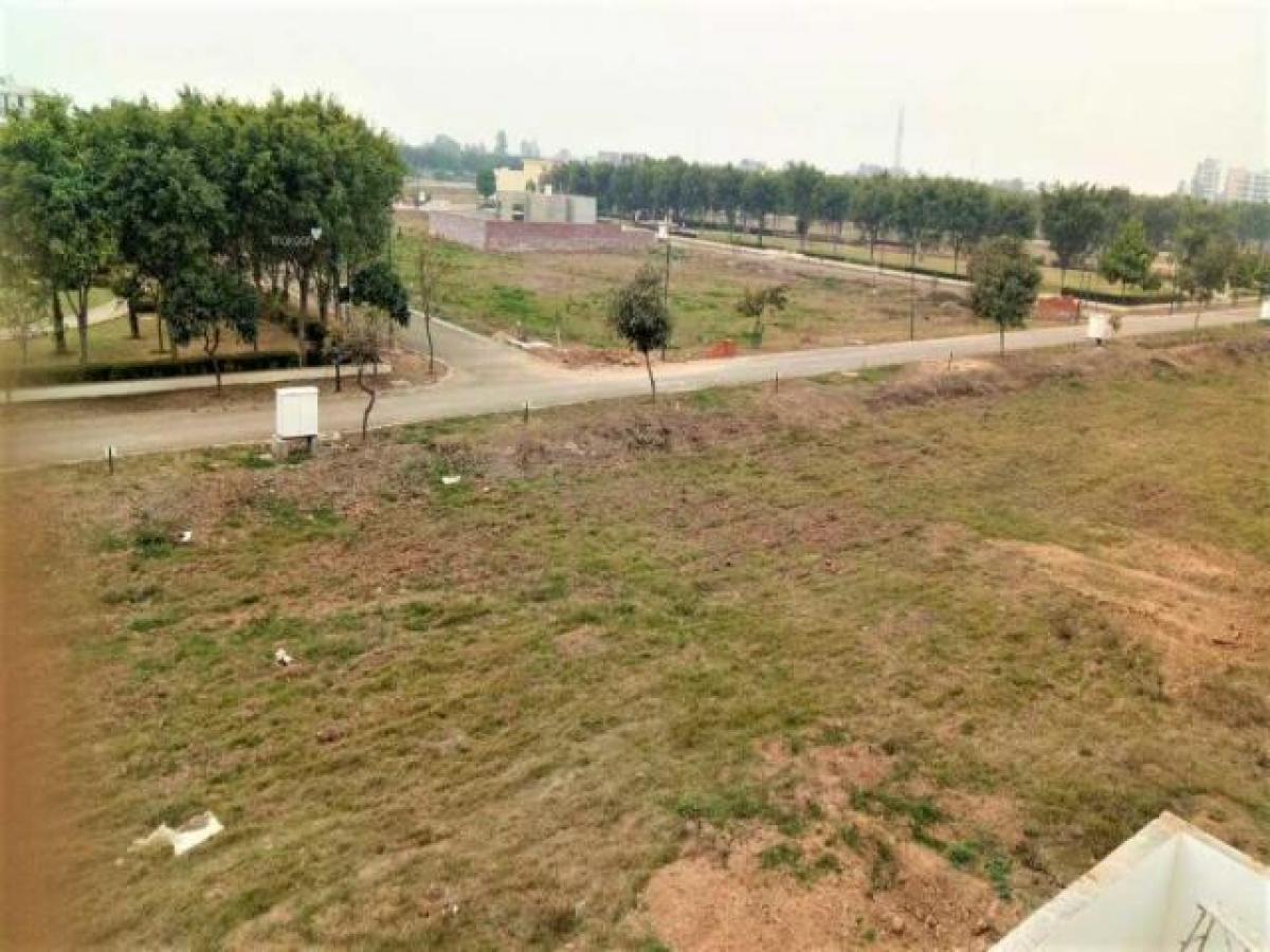 Terreno en Mohali, India No. 31155