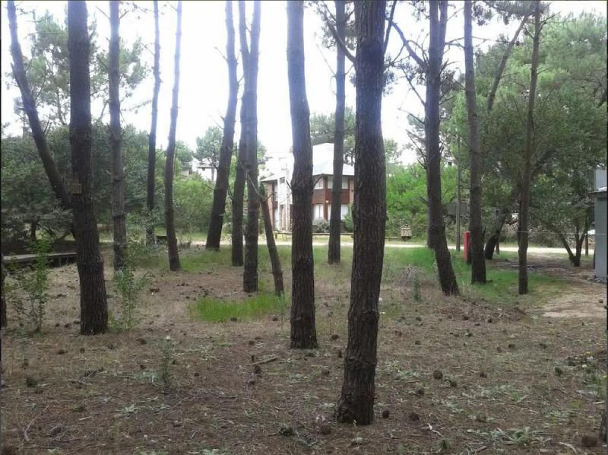  Land in Mar del Plata, Argentina No. 121644