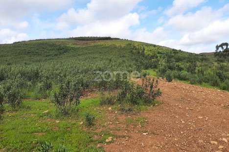 30000m² Land in Mexilhoeira Grande, Portugal No. 67653