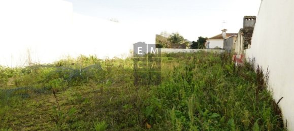 Дом с 3 спальнями в Оливейра ди Аземейш, Португалия № 23503 17