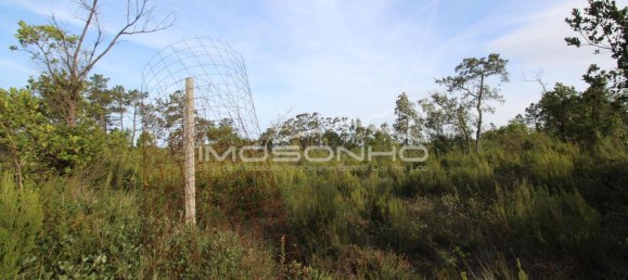 28960m² Land in Porto de Mos, Portugal No. 131314 17