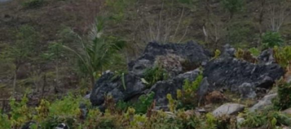 Terrain à West Nusa Tenggara, Indonesia 12000m² No. 4581 4