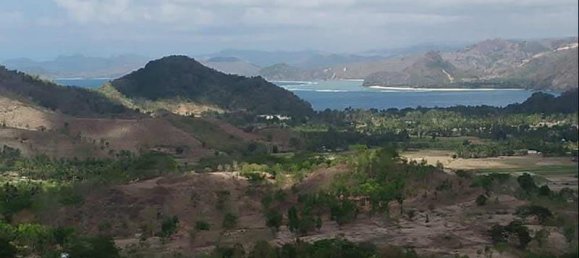 Terrain à West Nusa Tenggara, Indonesia 12000m² No. 4581 7