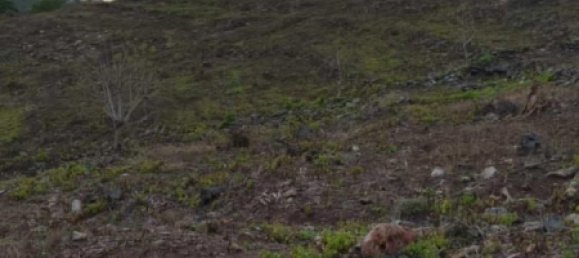 Terrain à West Nusa Tenggara, Indonesia 12000m² No. 4581 11