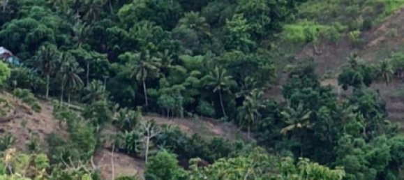 Terrain à West Nusa Tenggara, Indonesia 12000m² No. 4581 5