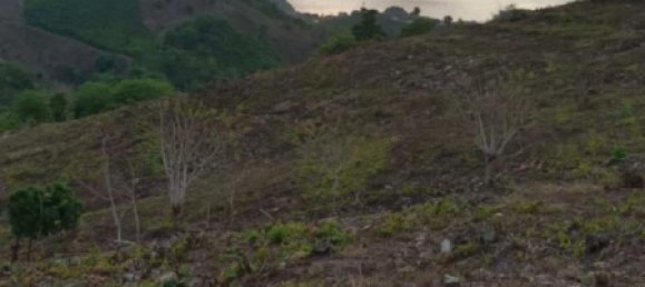 Terrain à West Nusa Tenggara, Indonesia 12000m² No. 4581 10