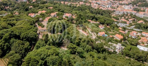 Grundstück in Sintra, Portugal 9640m², Nr. 144978 11