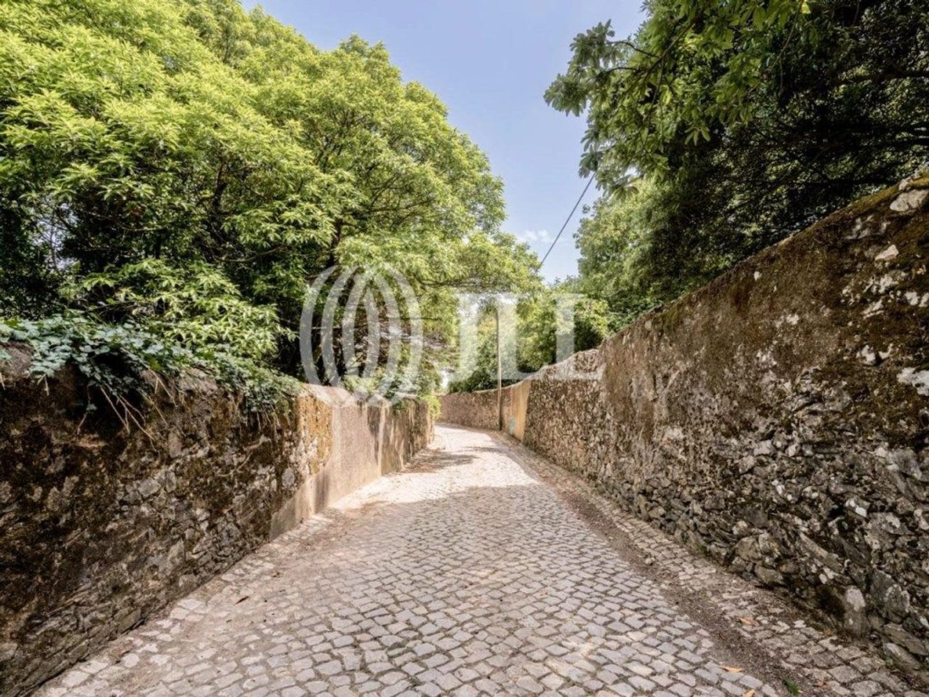 Grundstück in Sintra, Portugal 9640m², Nr. 144978