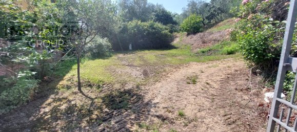 3 bedrooms House in Montecarlo, Italy No. 83003 4