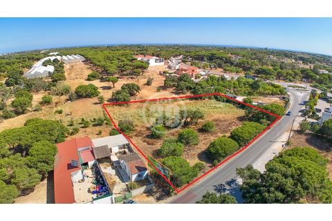4232m² Land in Almancil, Portugal No. 330611