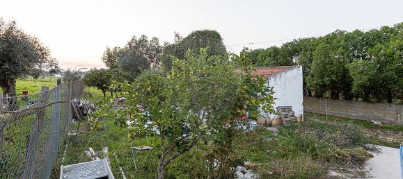 2 bedrooms House in Igrejinha, Portugal No. 21151 13