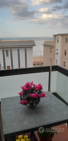 4 rooms Apartment in Falconara Marittima, Italy No. 253868