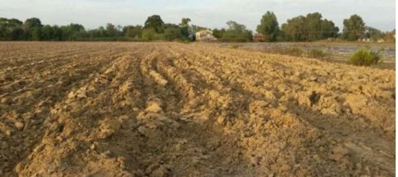 7 rooms Apartment in Sabaudia, Italy No. 47748 22