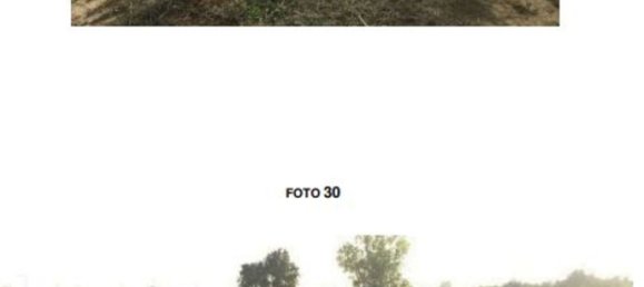 7 rooms Apartment in Sabaudia, Italy No. 47748 21