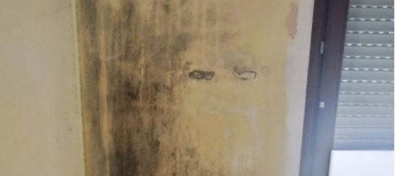 3 rooms Apartment in Montesilvano, Italy No. 238464 11