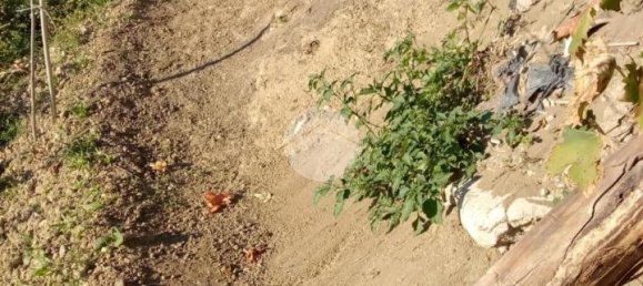 Casa de 3 habitaciónes en Cosenza, Italy No. 107451 28