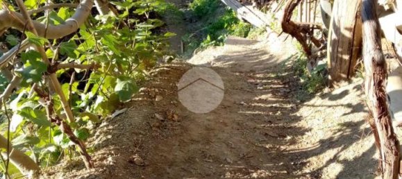 Casa de 3 habitaciónes en Cosenza, Italy No. 107451 16