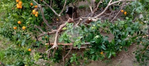 Casa de 3 habitaciónes en Cosenza, Italy No. 107451 23