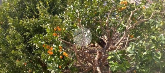 Casa de 3 habitaciónes en Cosenza, Italy No. 107451 22