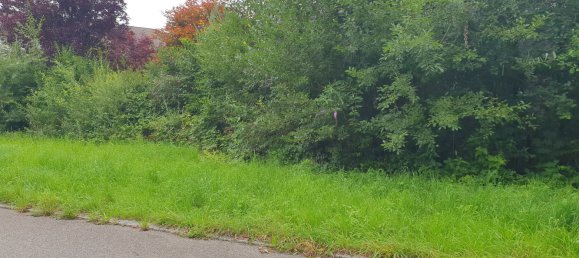 Terreno em Traunstein, Germany N.º 233760 2