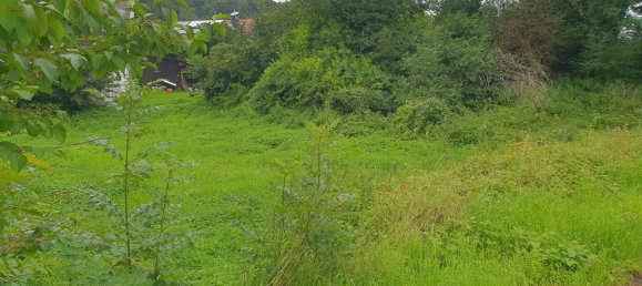 Terreno em Traunstein, Germany N.º 233760 3