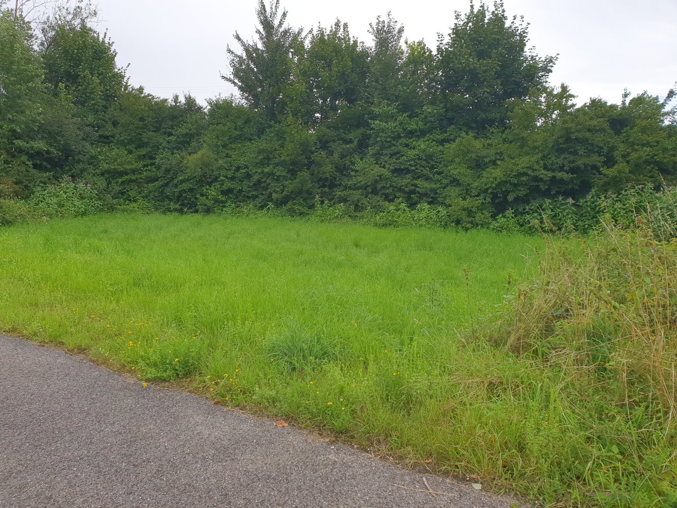 Terreno em Traunstein, Germany N.º 233760