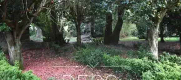 10 bedrooms House in O Pino, Spain No. 153947 30