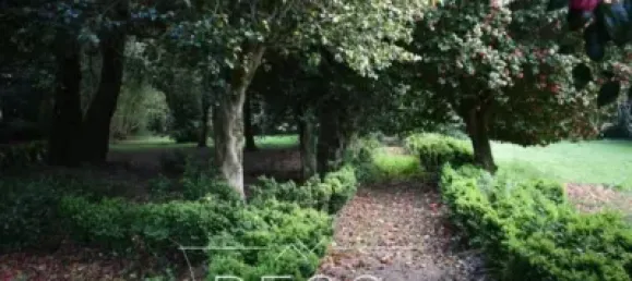 10 bedrooms House in O Pino, Spain No. 153947 15