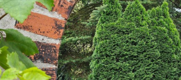 Terrain à Oberhavel, Germany No. 245022 2