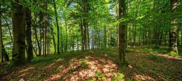 Terrain à Velden am Worther See, Austria 17m² No. 256235 15