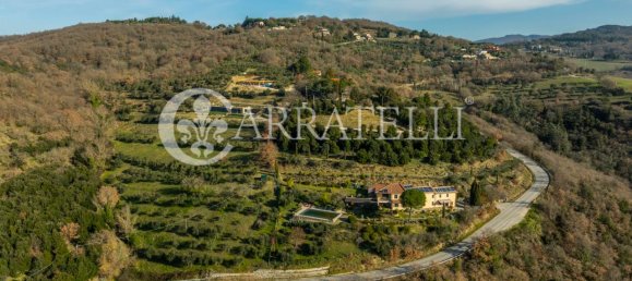 12 rooms Villa in Passignano sul Trasimeno, Italy No. 7343 49