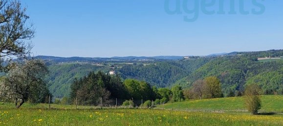 7-Zimmer Haus in Waldkirchen am Wesen, Austria, Nr. 183258 2