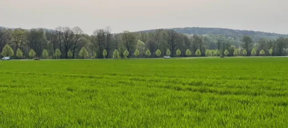 Дом с 7 спальнями в Gorlitz, Германия № 184769 8