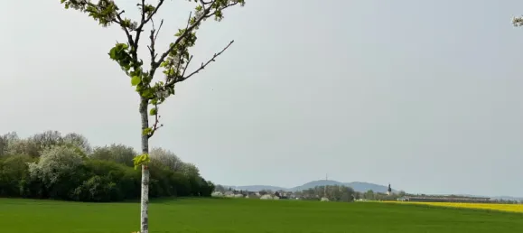 Дом с 7 спальнями в Gorlitz, Германия № 184769 7