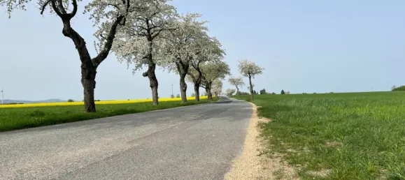 Дом с 7 спальнями в Gorlitz, Германия № 184769 27