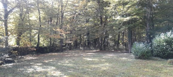 6 bedrooms House in Chambray-les-Tours, France No. 224050 13