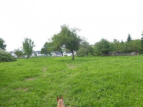 Terreno em Muespach, France N.º 95278