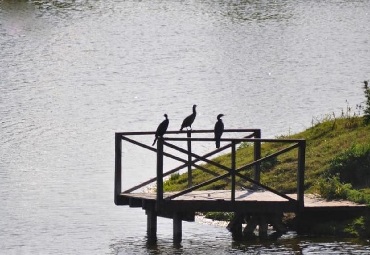 Terreno en Buenos Aires, Argentina No. 115401