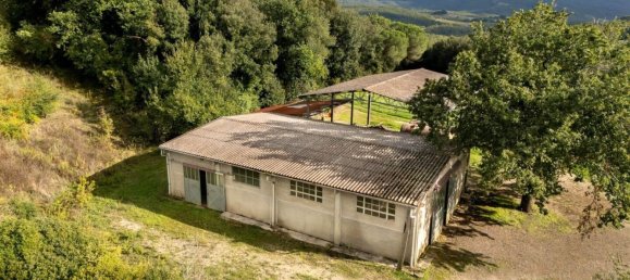 8 chambres Maison à Murlo, Italy No. 54100 38