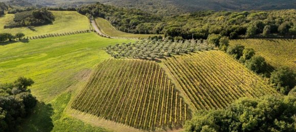 8 chambres Maison à Murlo, Italy No. 54100 35