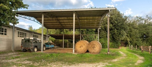 8 chambres Maison à Murlo, Italy No. 54100 40