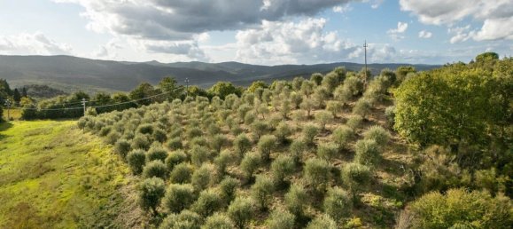 8 chambres Maison à Murlo, Italy No. 54100 9
