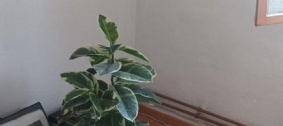 Дом с 3 комнатами в Любек, Германия № 218158 14