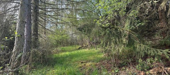 Дом с 6 комнатами в Верра-Майснер, Германия № 208095 10