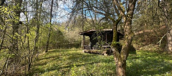 Дом с 6 комнатами в Верра-Майснер, Германия № 208095 4