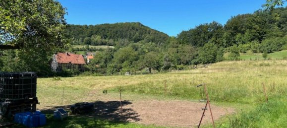 Terrain à Eichsfeld, Germany No. 155297 6